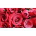 20 Stems Red Roses in a Round Gift Box